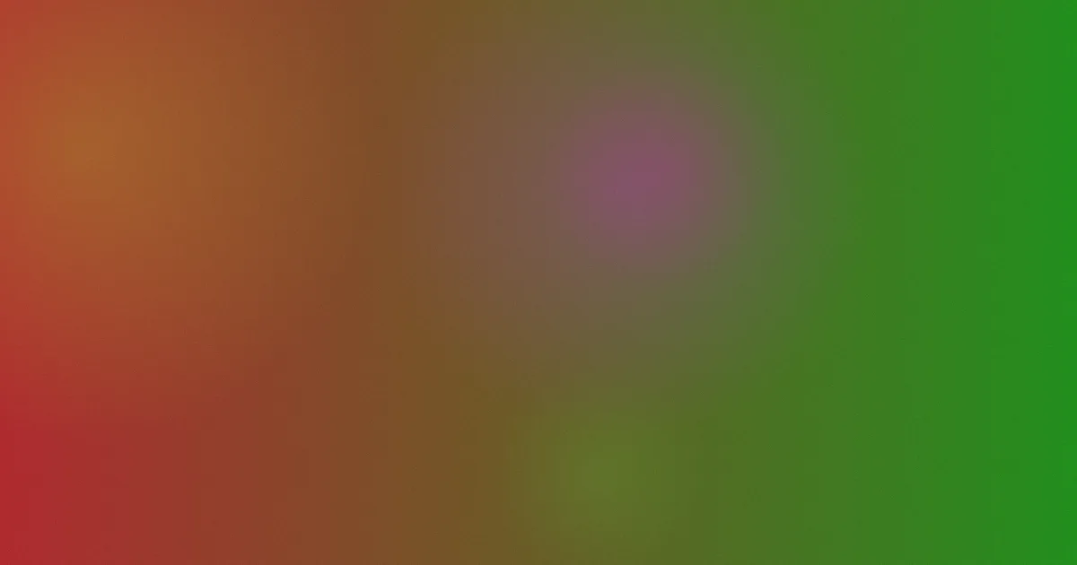 沈玉琳是什么：一文讲透